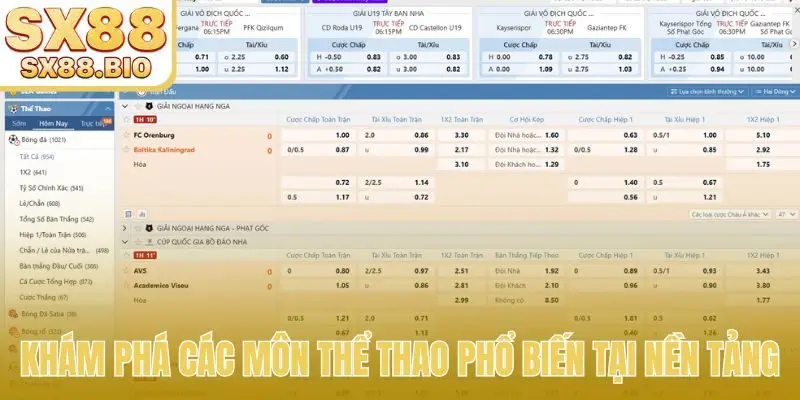 Khám phá các môn thể thao phổ biến tại nền tảng